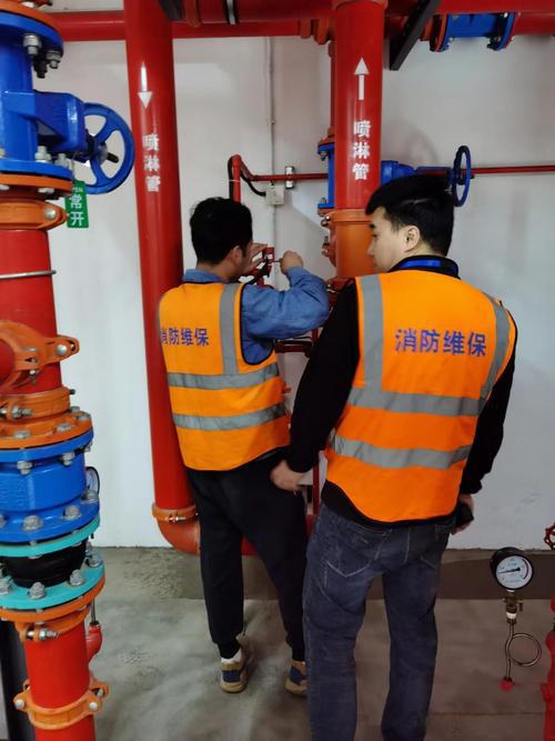 downloaded-image (1).jpg